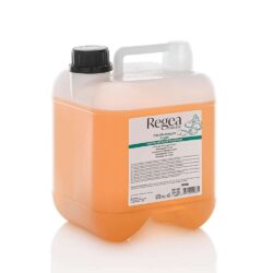 Argan Massageöl 5 Liter Dose Profiqualität Italienisch