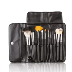 SET MIT 10 PROFESSIONELLEN MAKE-UP-PINSELN MIT ETUI
