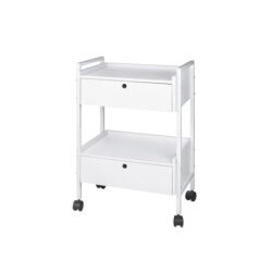Kosmetikwagen mit zwei Regalen und zwei Schubladen WEELKO 1019